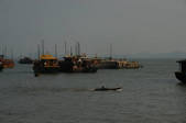 tkm002_117676