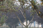 tkf002_112030