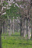 tkf002_112048