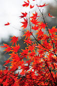 tkf002_112311