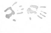 tkf005_185073