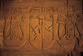 tkf005_2305446