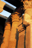 tkf005_2305492