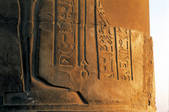tkf005_2305494