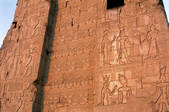 tkf005_2305507