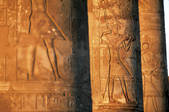 tkf005_2305553
