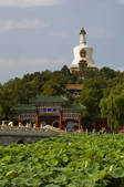 tkf005_2307635