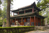 tkf005_2308197