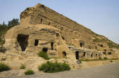 tkf005_2308313
