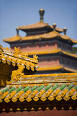 tkf005_2308966