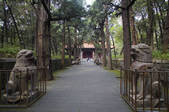 tkf005_2309788