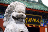 tkf005_2309865