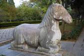 tkf005_2310004