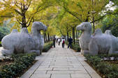 tkf005_2310006