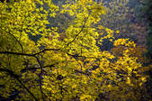 tkf005_2310778