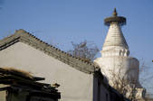 tkf005_2311494