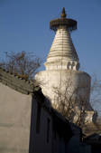 tkf005_2311495