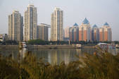 tkf005_2311590