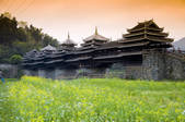 tkf005_2313808