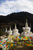 tkf005_2314558