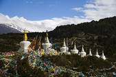 tkf005_2314561