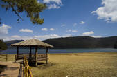 tkf005_2314603