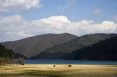 tkf005_2314606