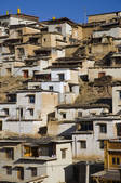tkf005_2314671