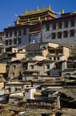 tkf005_2314675