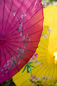 tkf005_2314745