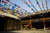 tkf005_2314759