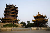 tkf005_2315295