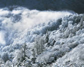 tkf005_2316057