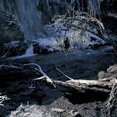 tkf005_2316090
