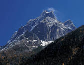 tkf005_2316108