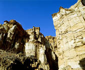 tkf005_2316386