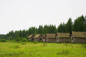 tkf005_2317161