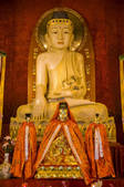 tkf005_2317321