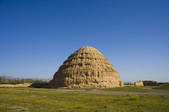 tkf005_2318444