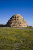 tkf005_2318445