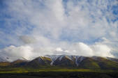 tkf005_2318860