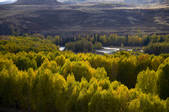 tkf005_2318861