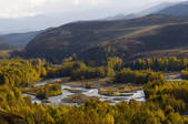 tkf005_2318864