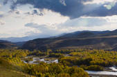 tkf005_2318865
