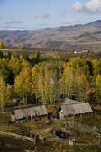 tkf005_2318885