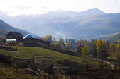 tkf005_2318886