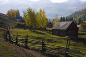 tkf005_2318888