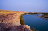 tkf005_2318983