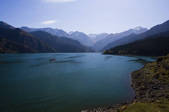 tkf005_2319007