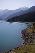 tkf005_2319010